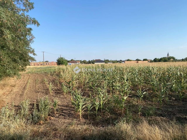Eladó telek, Besnyőn, Szabadság utcában 19.5 M Ft
