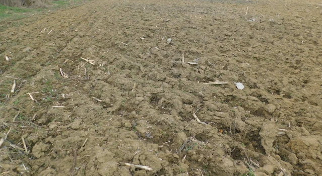 Eladó mezogazdasagi ingatlan, Hácson 2.9 M Ft