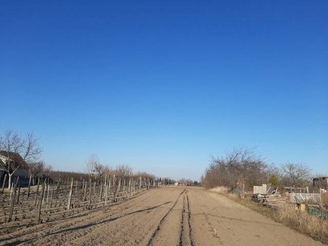 Eladó telek, Kisbéren 0.99 M Ft / költözzbe.hu
