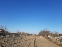 Eladó telek, Kisbéren 0.99 M Ft / költözzbe.hu
