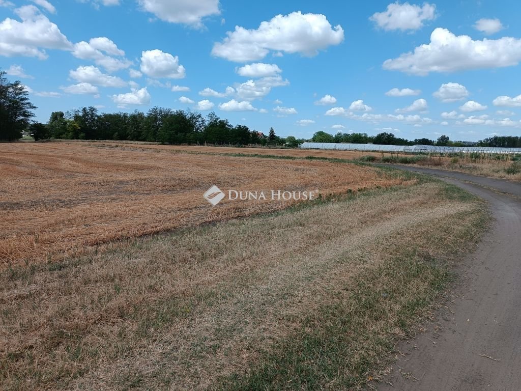 Telek · 10066 m² · 6.500.000 Ft