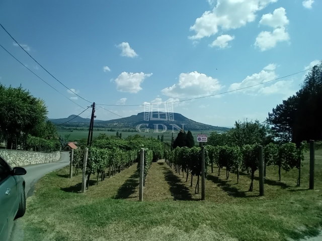 Eladó telek, Szigligeten 59 M Ft / költözzbe.hu