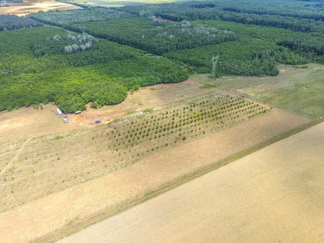 Eladó mezogazdasagi ingatlan, Sződön 34.99 M Ft