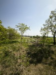 Eladó mezogazdasagi ingatlan, Dunakeszin 22 M Ft