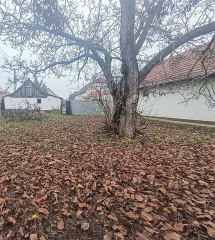 Eladó családi ház, Berettyóújfaluban 16.5 M Ft, 2 szobás