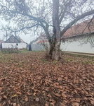 Eladó családi ház, Berettyóújfaluban 16.5 M Ft, 2 szobás