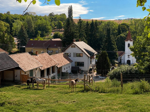 Eladó családi ház, Ligetfalván 100.375 M Ft, 6 szobás