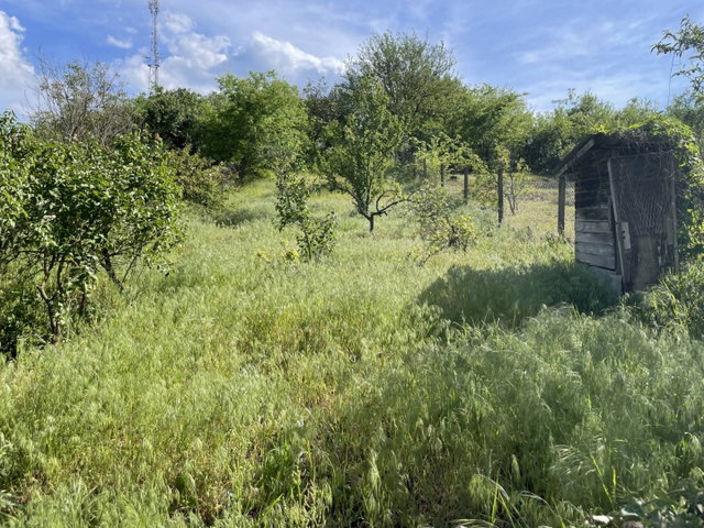 Eladó mezogazdasagi ingatlan, Bagon 19.9 M Ft, 2 szobás