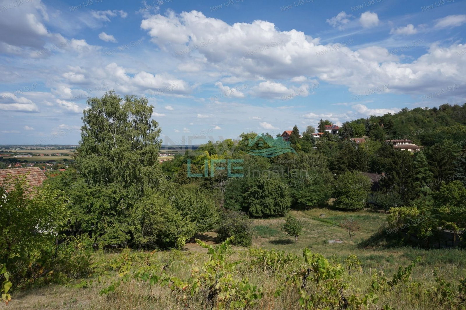 Telek · 2665 m² · 27.000.000 Ft