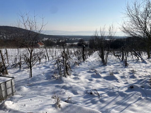 Eladó mezogazdasagi ingatlan, Dörgicsén 54.9 M Ft
