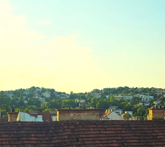 Eladó téglalakás, Budapesten, II. kerületben, Lövőház utcában