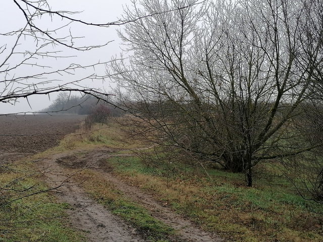 Eladó telek, Maglódon 170 M Ft / költözzbe.hu