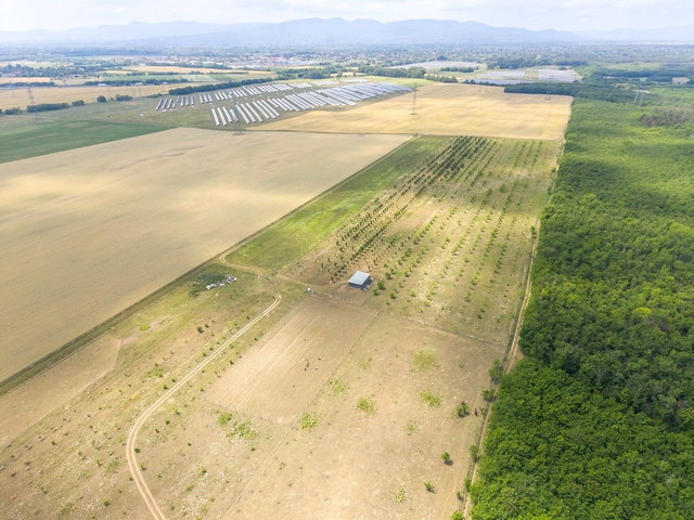 Eladó mezogazdasagi ingatlan, Sződön 34.99 M Ft