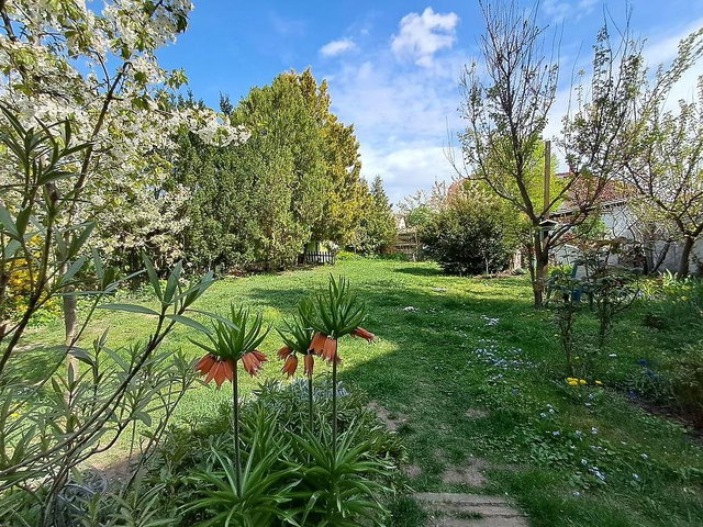 Eladó családi ház, Budapesten, XV. kerületben 122.65 M Ft