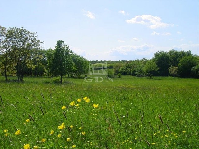 Eladó ipari ingatlan, Balatonfűzfőn 3279.78 M Ft
