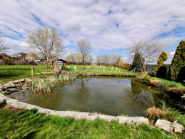 Eladó mezogazdasagi ingatlan, Békéscsabán 13.9 M Ft