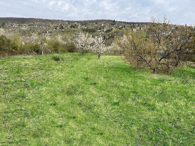 Eladó telek, Budaörsön 159.9 M Ft / költözzbe.hu