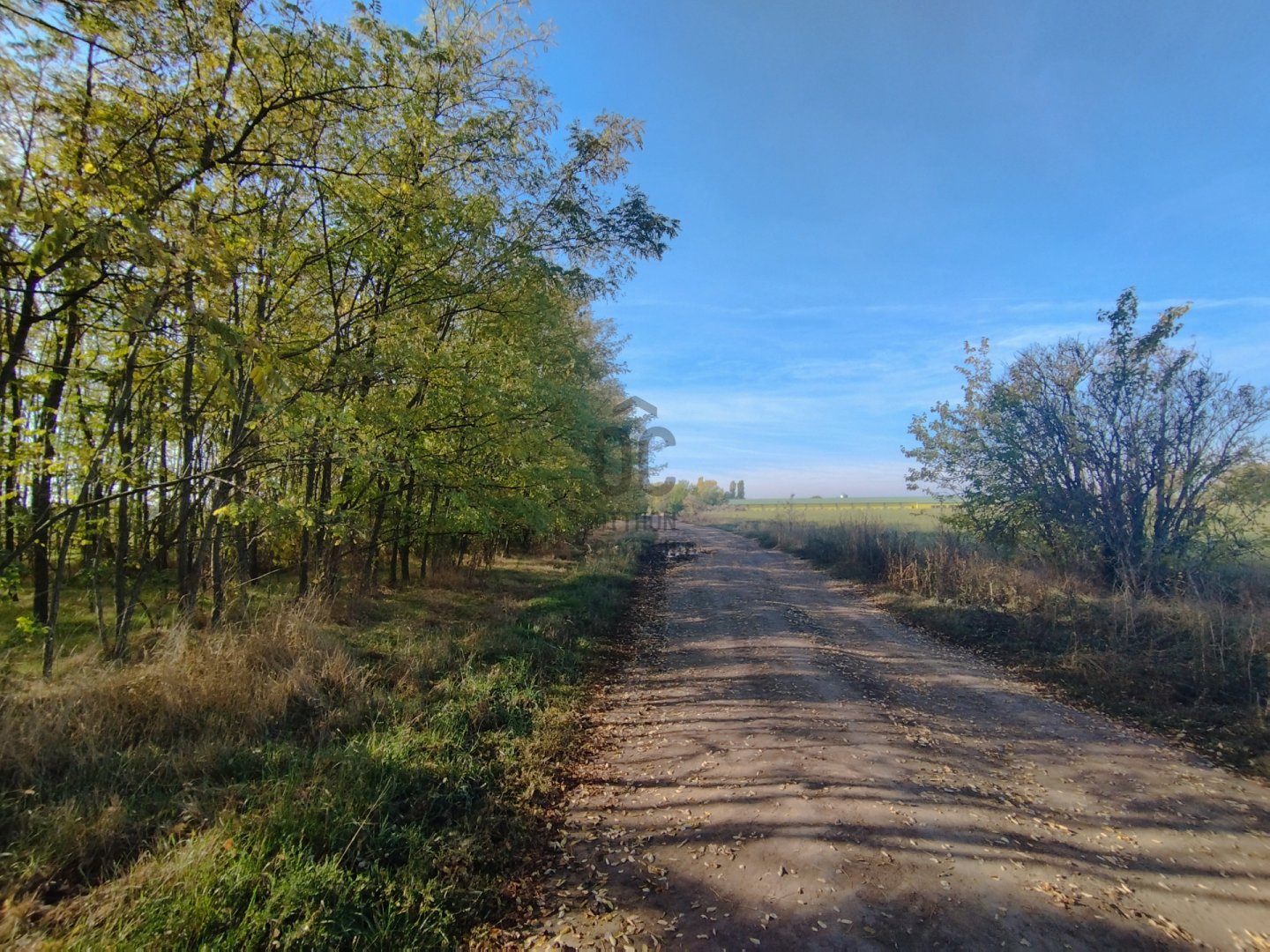 4946 m² · 13.180.000 Ft