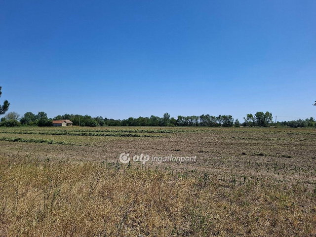 Eladó mezogazdasagi ingatlan, Szatymazon 60 M Ft