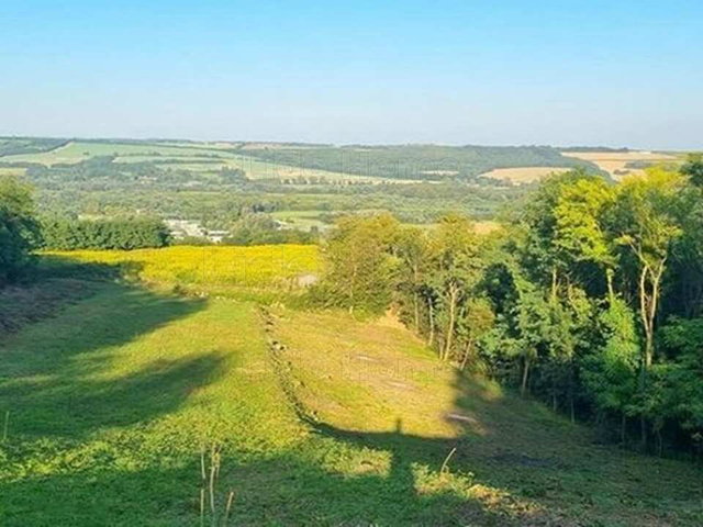 Eladó mezogazdasagi ingatlan, Zalacsányon 28.99 M Ft