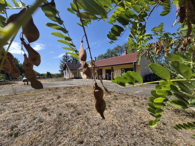 Eladó mezogazdasagi ingatlan, Tiszaigaron 28 M Ft, 3 szobás
