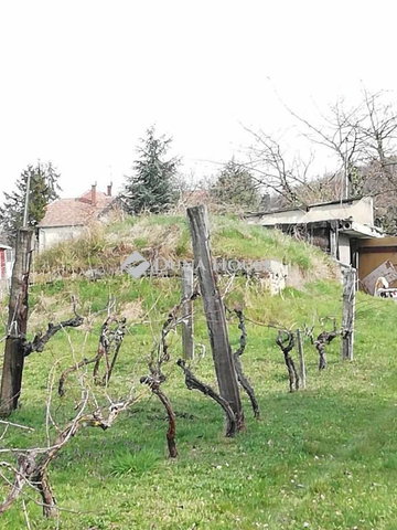 Eladó mezogazdasagi ingatlan, Badacsonytördemicen 19 M Ft
