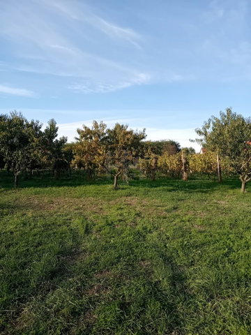 Eladó nyaraló, Szigetváron 5.7 M Ft / költözzbe.hu