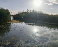 Eladó családi ház, Dunavarsányban, Duna soron 59 M Ft, 2 szobás