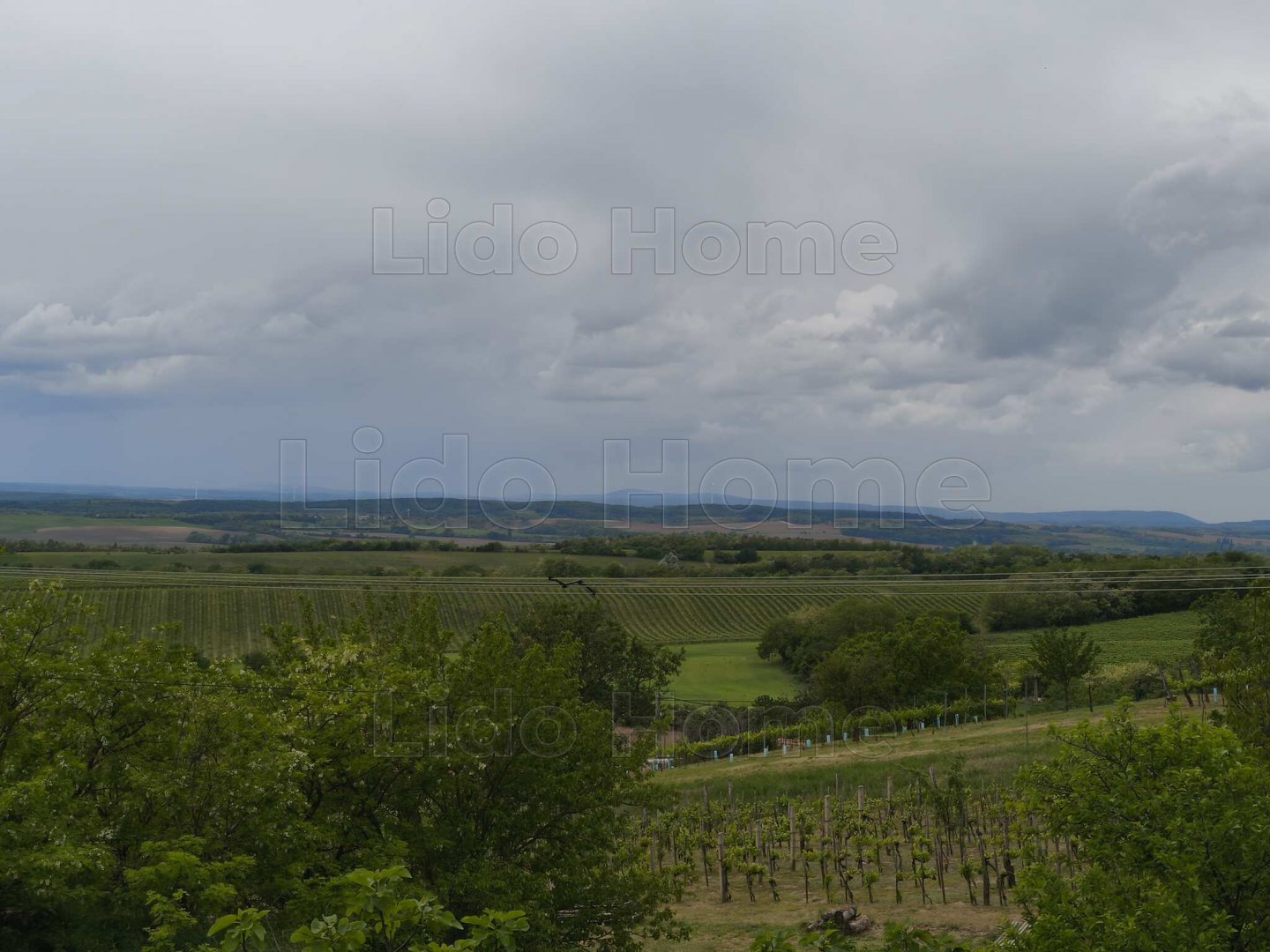 1618m² · 16.500.000 ft