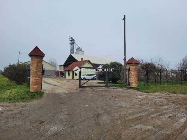 Eladó mezogazdasagi ingatlan, Szőlősgyörökön 350 M Ft