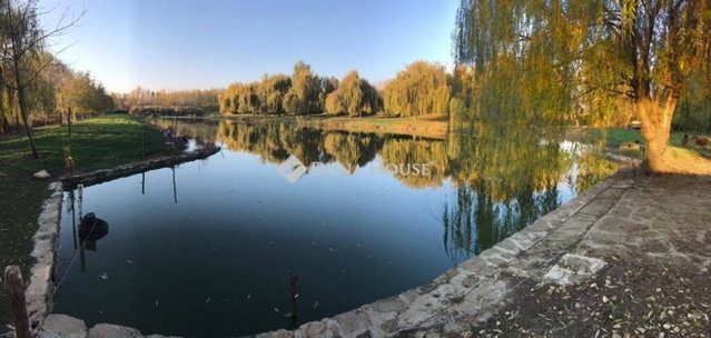 Eladó telek, Bólyban 84 M Ft / költözzbe.hu