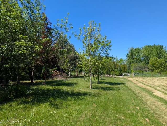 Eladó telek, Gyomaendrődön 6.1 M Ft / költözzbe.hu
