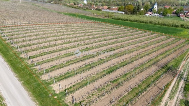 Eladó mezogazdasagi ingatlan, Bodrogkeresztúron 46.5 M Ft
