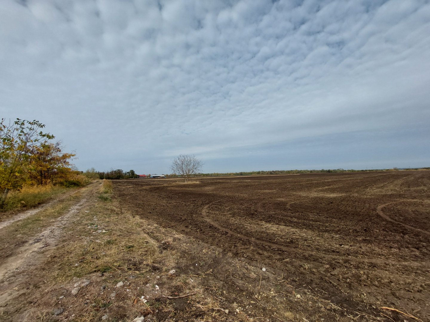 2749 m² · 17.900.000 Ft