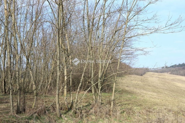 Eladó telek, Alsónemesapátiban 55 M Ft / költözzbe.hu