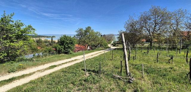 Eladó telek, Ábrahámhegyen 79.9 M Ft / költözzbe.hu