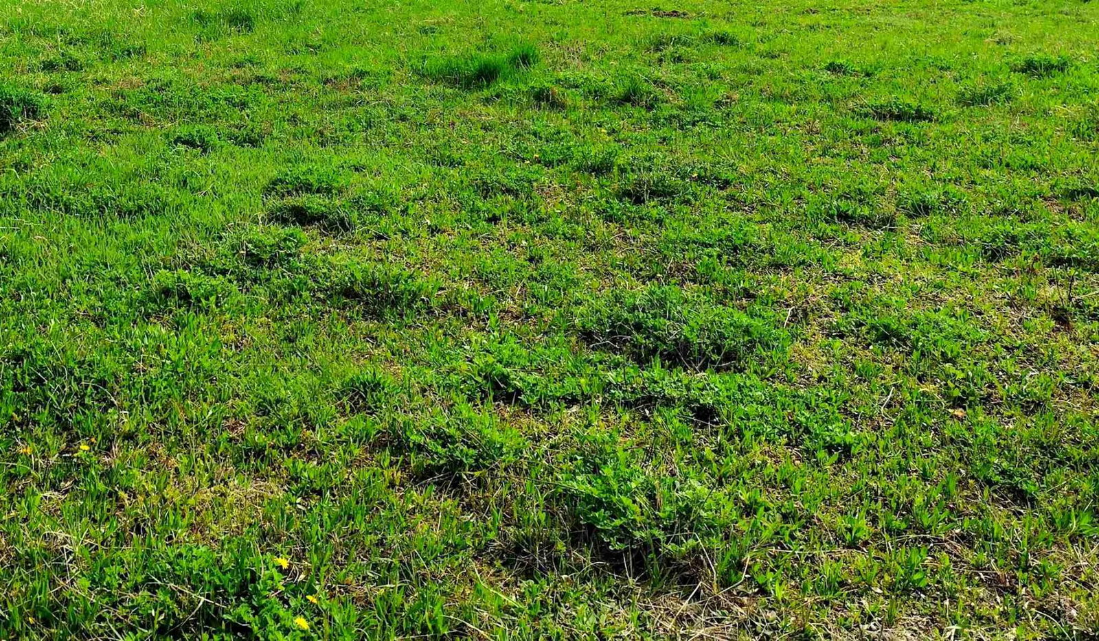 721m² · 39.655.000 ft