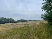Eladó mezogazdasagi ingatlan, Szomódon 149 M Ft