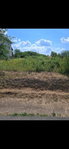 Eladó telek, Szarvasgedén 5.5 M Ft / költözzbe.hu