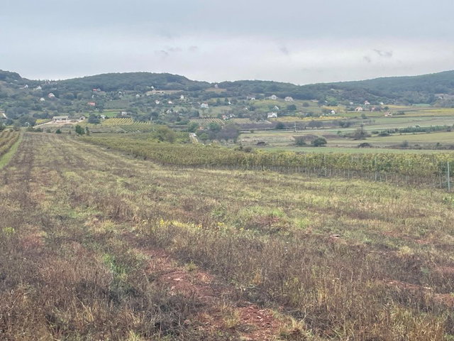 Eladó mezogazdasagi ingatlan, Zánkán 8.6 M Ft