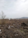 Eladó telek, Badacsonytördemicen 9 M Ft / költözzbe.hu