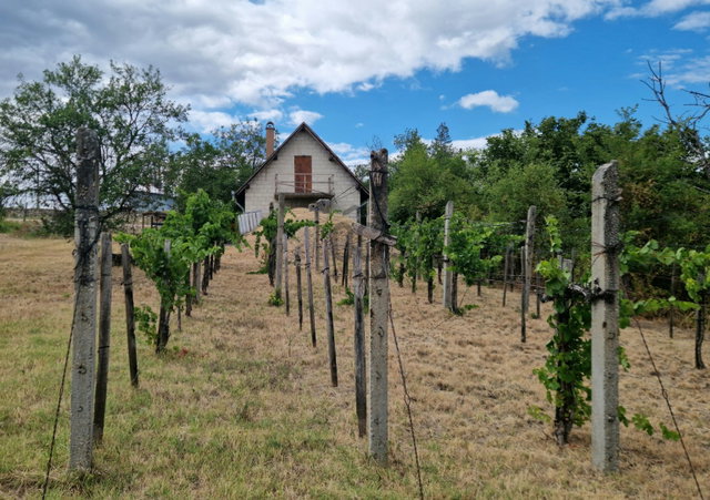 Eladó mezogazdasagi ingatlan, Etyeken 70 M Ft