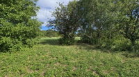 Eladó mezogazdasagi ingatlan, Balatonberényben 5.5 M Ft