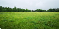 Eladó telek, Balatonbogláron 81.5 M Ft / költözzbe.hu
