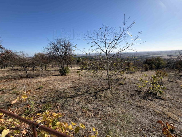 Eladó mezogazdasagi ingatlan, Várpalotán 11.3 M Ft