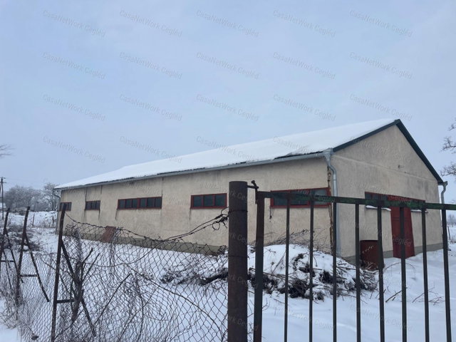 Eladó ipari ingatlan, Tiszajenőn 17.9 M Ft, 8 szobás