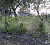 Eladó telek, Mezőfalván 4.5 M Ft / költözzbe.hu