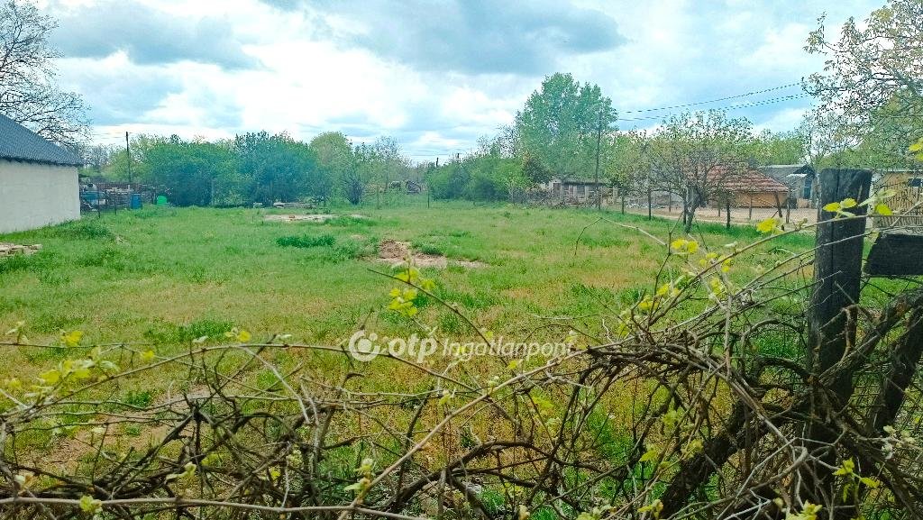 780m² · 3.500.000 ft