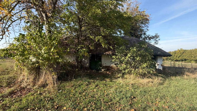 Eladó mezogazdasagi ingatlan, Balatonberényben 10.5 M Ft, 1 szobás