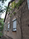 Eladó családi ház, Csanádpalotán, Petőfi utcában 17 M Ft